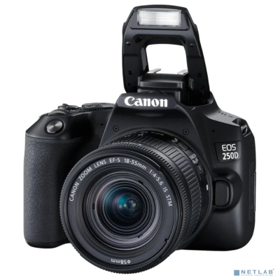 Canon EOS 250D черный {24.1Mpix EF-S 18-55mm f/1:4-5.6 IS STM 3" 4K Full HD SDXC Li-ion}