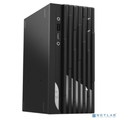 MSI Pro DP20ZA 5M-217RU [9S6-B0A211-217] Black {Ryzen 5 5600G/8Gb/512GB SSD/Win11Pro}