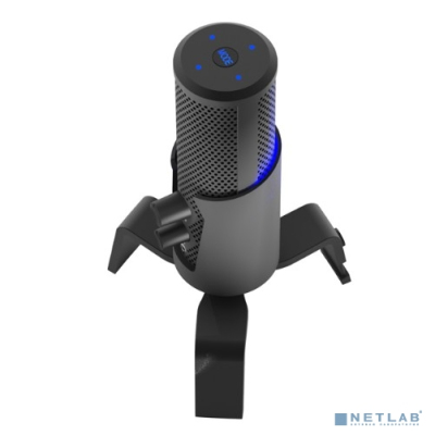 RITMIX RDM-290 USB Eloquence Black {Частота: 20 Гц-20 000 Гц}