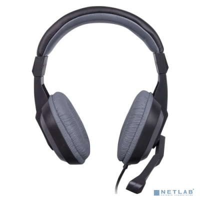 RITMIX RH-534M Grey наушники {105 дБ, разъем 2 x mini jack 3.5 mm}