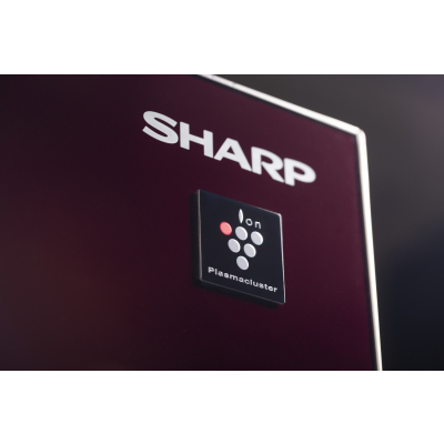 Sharp SJ-GX98PRD