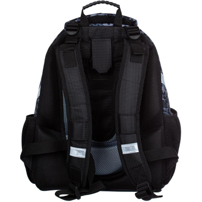 Ранец №1School Basic Барс, 2 отд., эргоном. спинка, велюр