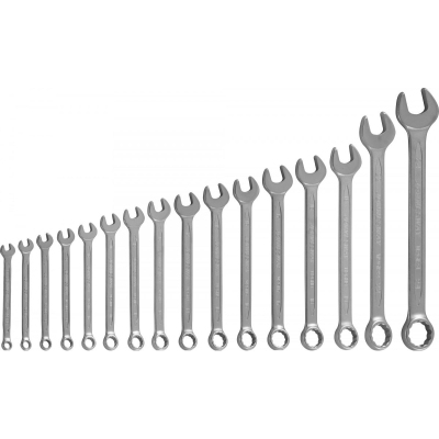 Набор ключей гаечных комбинированных в кейсе, 6-24 мм,16 предметов W26116S