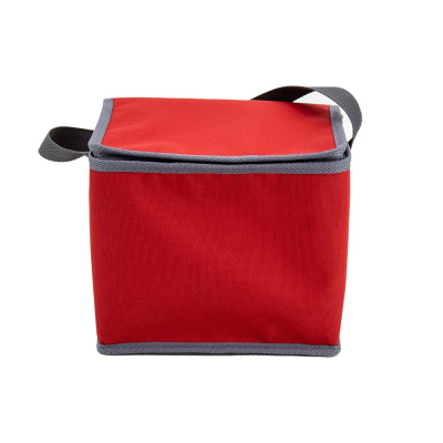 Термосумка ТерПак универсальная 6 литров, 23x17x19 см, 123/148