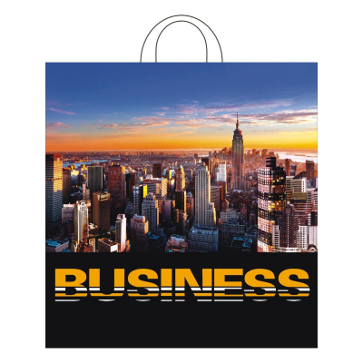 Пакет полиэтиленовый с петлевой ручкой Панорама(40x42см), СП-7109, 25шт/уп