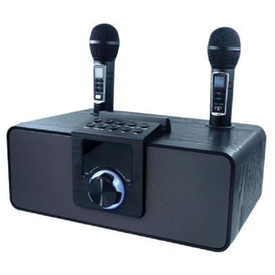 Акустическая система Ritmix SP-660B black, в комплекте 2 беспроводных мкф