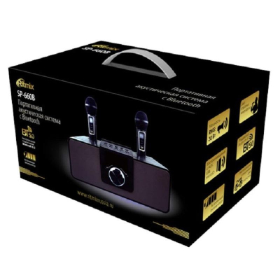 Акустическая система Ritmix SP-660B black, в комплекте 2 беспроводных мкф