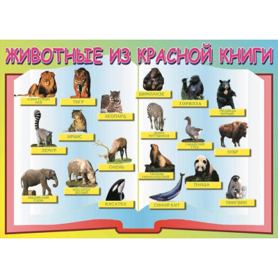 Плакат - таблица Животные из Красной книги (1,2x1,68)