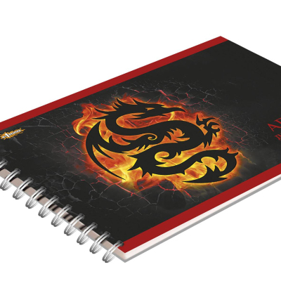 Альбом для рисования №1 Dragon 40 л. спираль А4, УФ лак