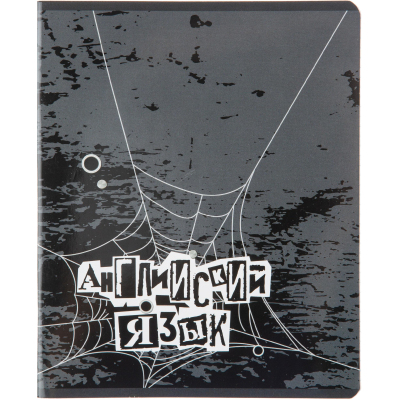 Тетрадь предметная 48л А5 клетка УФ-лак, №1 School -Панк- АНГЛИЙСКИЙ ЯЗЫК