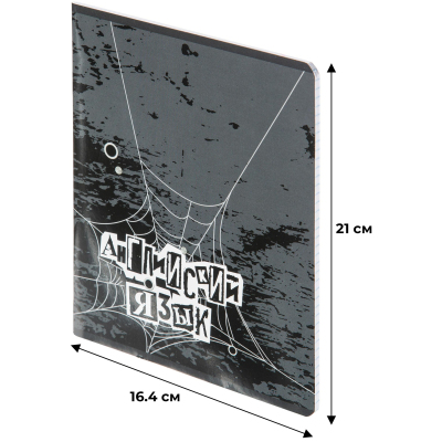 Тетрадь предметная 48л А5 клетка УФ-лак, №1 School -Панк- АНГЛИЙСКИЙ ЯЗЫК