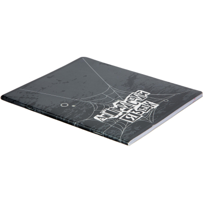 Тетрадь предметная 48л А5 клетка УФ-лак, №1 School -Панк- АНГЛИЙСКИЙ ЯЗЫК