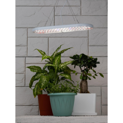 Фитосветильник для растений ЭРА FITO-25W-QLED-FLY полного спектра 25 Вт