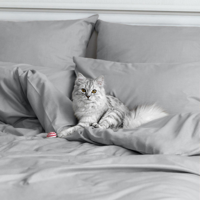 Постельное белье 1,5сп меланж (нав. 50х70 2 шт.), Silver 775840