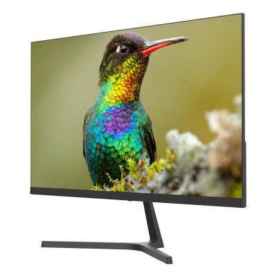 Монитор Sanc N2453 (M2453) 23,8/FHD/IPS/250cd/5ms/75Hz/VGA/HDMI