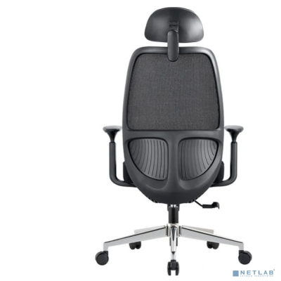 Офисное кресло Chairman CH581 черный (7131362)