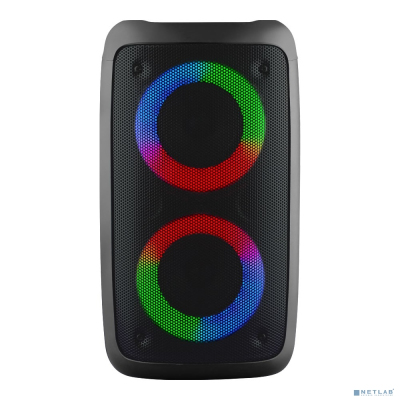 Ginzzu GM-916B (10Вт, TWS, 150Гц-18КГц, динамики 2х3,0", 2400мАч, AUX, USB-flash, микро SD, КАРАОКЕ, FM-радио, RGB