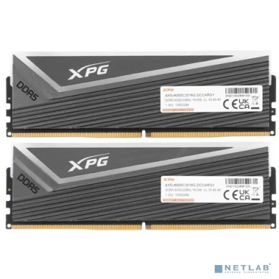 Модуль памяти DIMM 32GB DDR5-6000 AX5U6000C3016G-DCCARGY ADATA