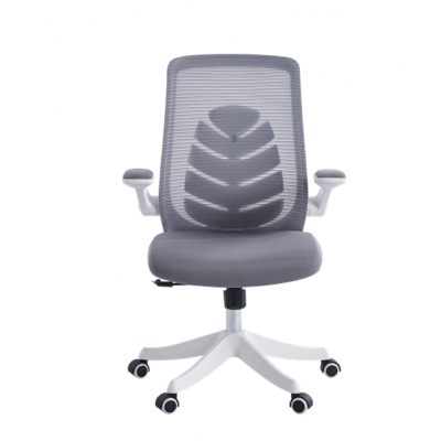 Chairman CH565 белый пластик, серый