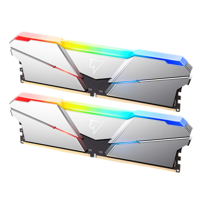 Netac Shadow RGB 32GB (2x16GB) DDR5-5600 (PC5-44800) C40 Silver 40-40-40-77 1.2V XMP Dual DIMM Kit