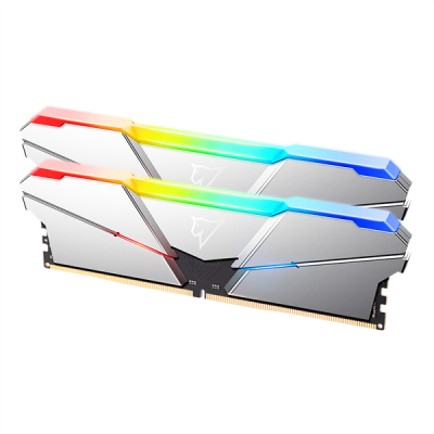 Netac Shadow RGB 32GB (2x16GB) DDR5-5600 (PC5-44800) C40 Silver 40-40-40-77 1.2V XMP Dual DIMM Kit