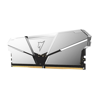 Netac Shadow RGB 32GB (2x16GB) DDR5-5600 (PC5-44800) C40 Silver 40-40-40-77 1.2V XMP Dual DIMM Kit