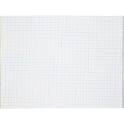 Книга учета Выбор есть А4 48л клетка блок типограф обл. картон