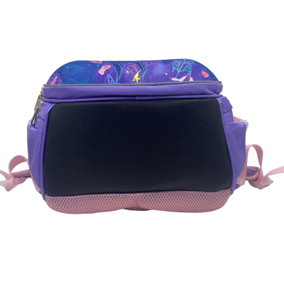 Ранец Комус Класс Your Speed 2 отд., эргоном, с мешком(пристегив)