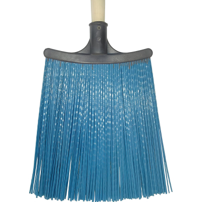 Метла плоская Федорина Радость дерев/черенок