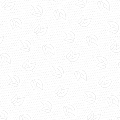 Полотенца бумажные Z слож PROtissue 2сл 200л 21пач/уп С442