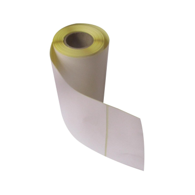 Термоэтикетки ЭКО 100х100, 100 шт/рул, вт. 25, 2 рул/уп (спайка)