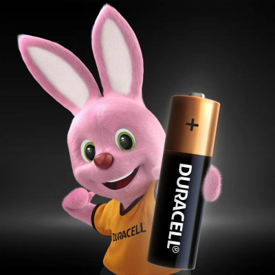 Батарейки Duracell Basic пальчиковые АА LR6 (12 штук в упаковке)